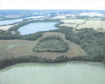Działka komercyjna na sprzedaż Szestno 1 228 549m2 Foto 4