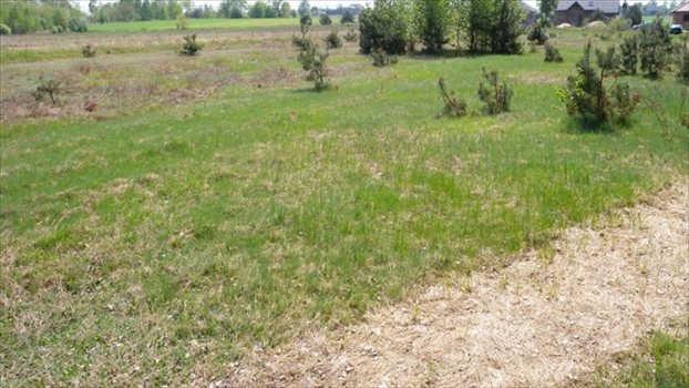 Działka budowlana na sprzedaż Sulejów, Sulejów, Ustronna 1 000m2 Foto 10