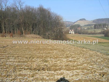 Działka budowlana na sprzedaż Męcina 5 800m2 Foto 6