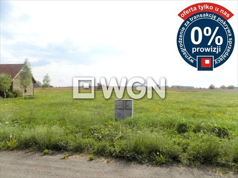 Działka inna na sprzedaż Krzywe 3 000m2 Foto 5