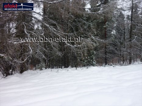 Działka rekreacyjna na sprzedaż Międzybrodzie Żywieckie 3 600m2 Foto 7