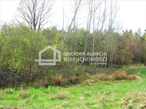 Działka budowlana na sprzedaż Sitno 1 412m2 Foto 3