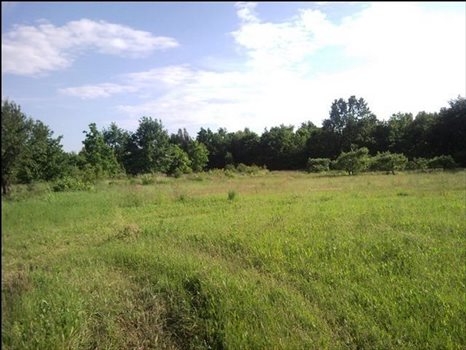 Działka budowlana na sprzedaż Konstancin-jeziorna, Klarysew, Sadowa 3 000m2 Foto 2