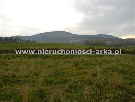 Działka budowlana na sprzedaż Żegocina 3 100m2 Foto 2