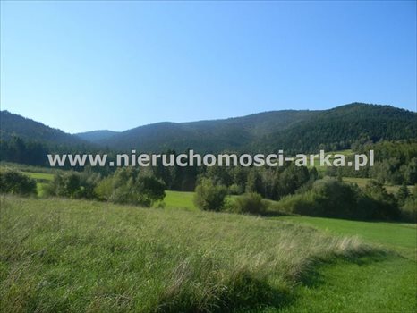 Działka budowlana na sprzedaż Dobra 1 700m2 Foto 3