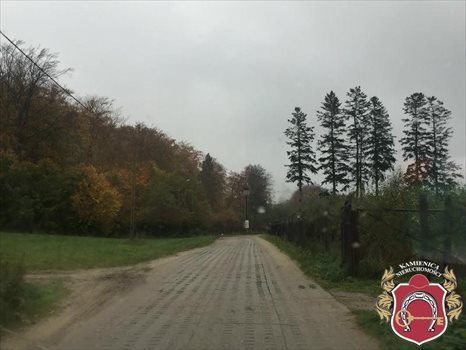 Działka budowlana na sprzedaż Łapino, Łapino Kartuskie, okolice Brzozowa 1 000m2 Foto 12