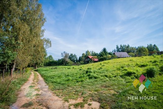 Działka budowlana na sprzedaż Kręsk 1 468m2 Foto 5