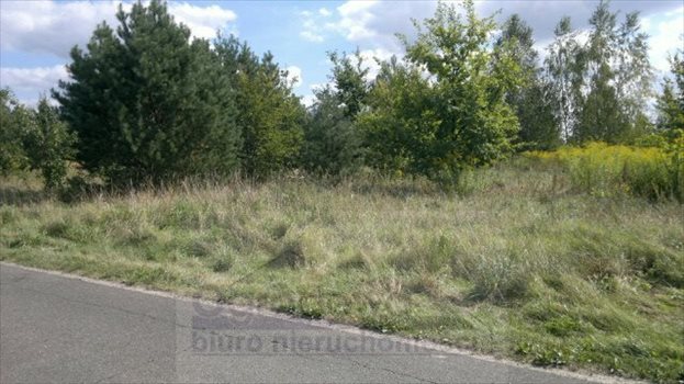 Działka rolna na sprzedaż Łoś 1 000m2 Foto 2