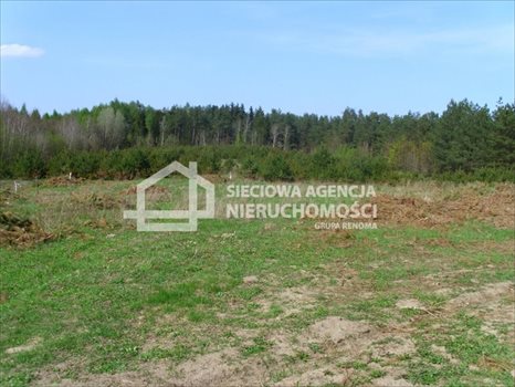 Działka budowlana na sprzedaż Sitno 3 005m2 Foto 6
