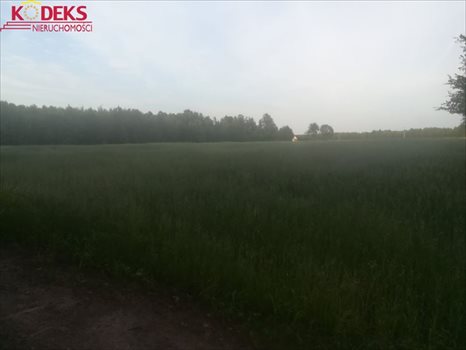 Działka rolna na sprzedaż Strzegocin 34 368m2 Foto 3