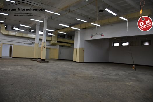 Lokal użytkowy na wynajem Świecie 1 600m2 Foto 13