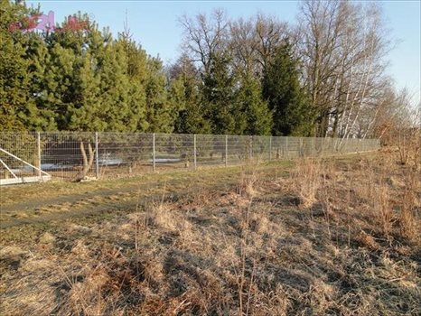 Działka inwestycyjna na sprzedaż Wrocław, Psie-Pole, Pełczyńska 3 000m2 Foto 7