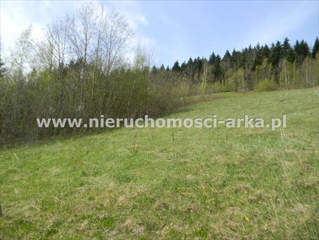 Działka rolna na sprzedaż Stara Wieś 12 900m2 Foto 7