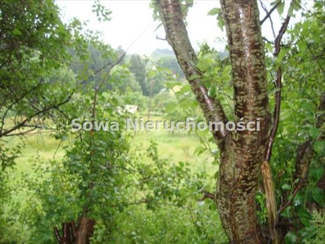 Działka inna na sprzedaż Wałbrzych, Gaj 2 900m2 Foto 4