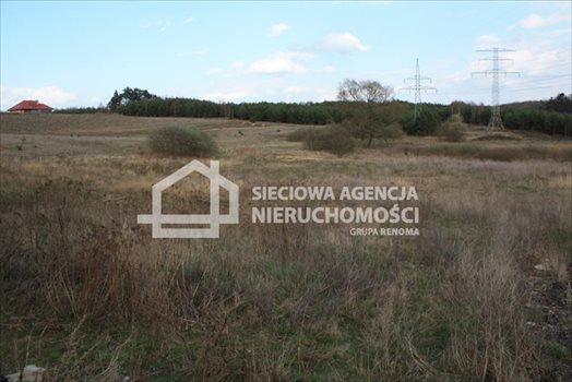 Działka budowlana na sprzedaż Gdańsk 1 162m2 Foto 7