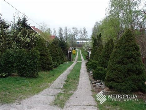 Dom na sprzedaż Borek Szlachecki 300m2 Foto 1