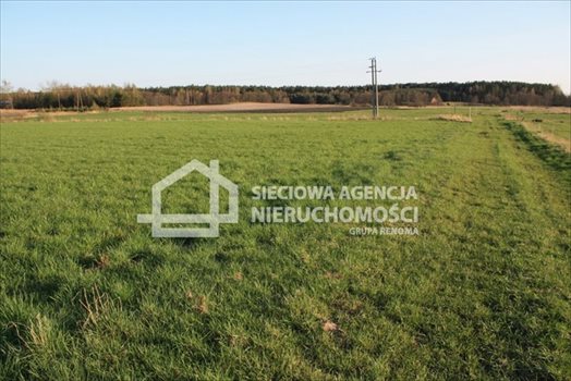 Działka siedliskowa na sprzedaż Stara Kiszewa 8 767m2 Foto 11