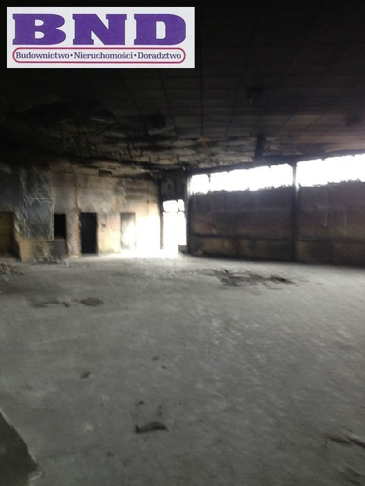 Działka inna na sprzedaż Zabrze 6 500m2 Foto 5