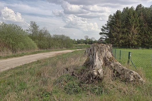 Działka rolna na sprzedaż Kołczewo 22 223m2 Foto 1