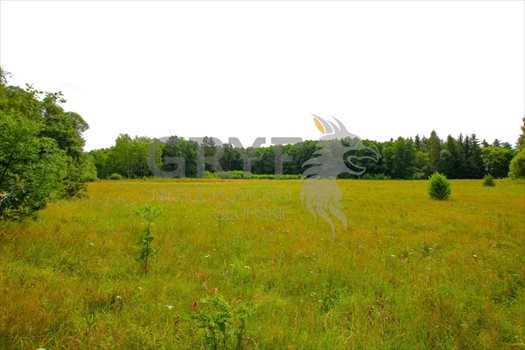 Działka inna na sprzedaż Łosino, Łosino 15 900m2 Foto 5