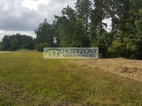 Działka inna na sprzedaż Leźno 3 327m2 Foto 7