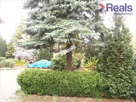 Dom na sprzedaż Konstancin-Jeziorna, Klarysew 250m2 Foto 4