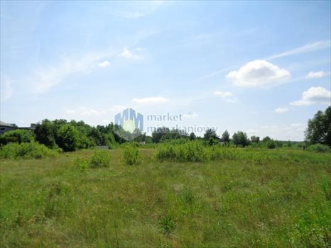 Działka budowlana na sprzedaż Sadowa, Wędrowców 5 280m2 Foto 7