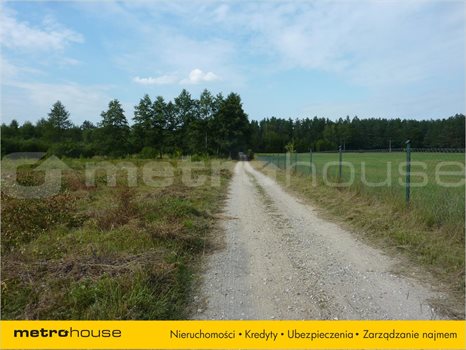 Działka inna na sprzedaż Stękiny, Jonkowo 25 000m2 Foto 4