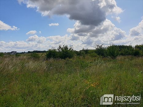 Działka inna na sprzedaż Jagatowo 26 452m2 Foto 3