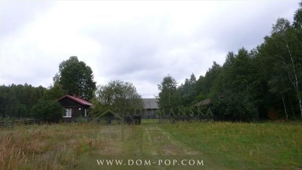 Działka budowlana na sprzedaż Borowiny 3 178m2 Foto 4