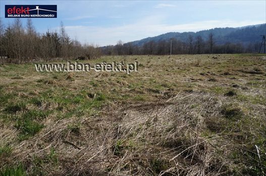 Działka inwestycyjna na sprzedaż Jeleśnia 1 323m2 Foto 2