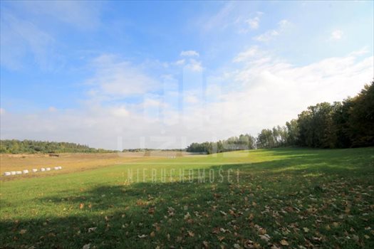 Działka siedliskowa na sprzedaż Grabówko, Jezioro, Las, Grabówko 3 100m2 Foto 6