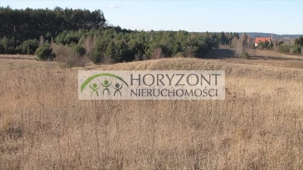 Działka budowlana na sprzedaż Bielkówko 941m2 Foto 7