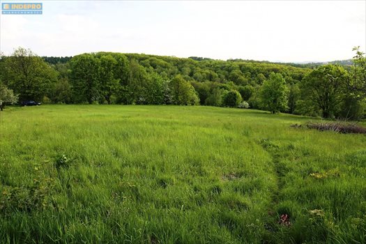 Działka budowlana na sprzedaż Mogilany 2 400m2 Foto 4