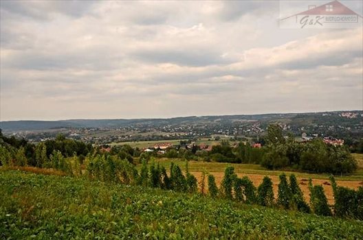Działka rekreacyjna na sprzedaż Prałkowce 3 500m2 Foto 4