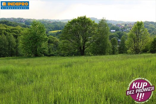 Działka budowlana na sprzedaż Mogilany 2 400m2 Foto 1