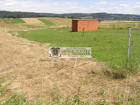 Działka budowlana na sprzedaż Tarnawce 5 000m2 Foto 2