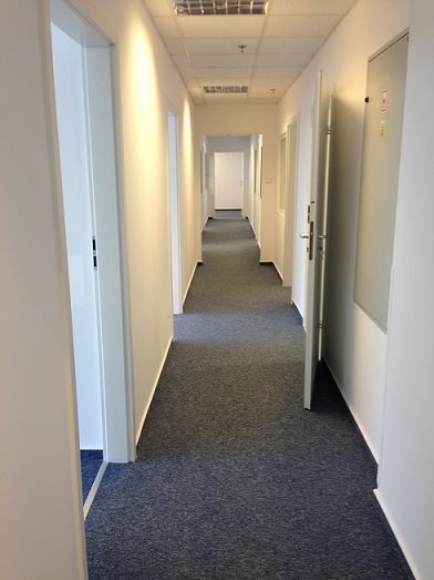Lokal użytkowy na wynajem Warszawa, Włochy, Szyszkowa 253m2 Foto 2