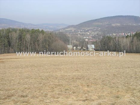 Działka budowlana na sprzedaż Lipowe 5 000m2 Foto 4