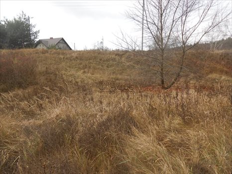 Działka budowlana na sprzedaż Poznań, Zieliniec, Sarnia 1 029m2 Foto 9