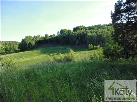Działka budowlana na sprzedaż Jemiołowo, Jemiołowo, Jemiołowo 19 300m2 Foto 5