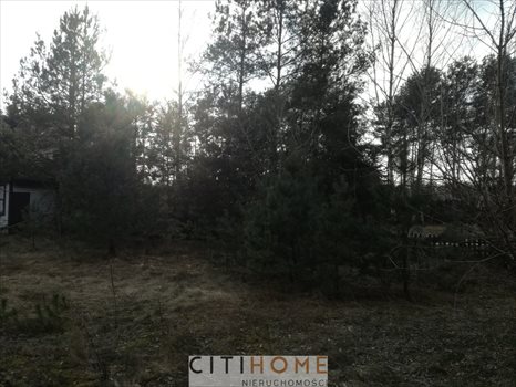 Działka inna na sprzedaż Otwock, Krecia 1 133m2 Foto 4