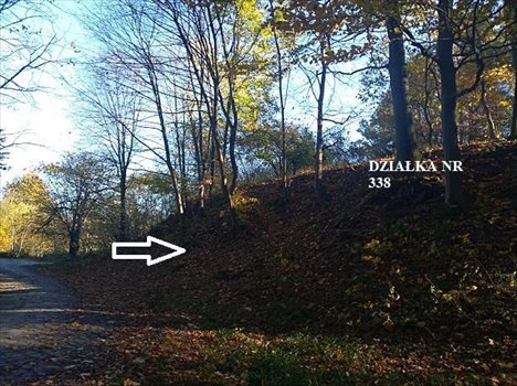 Działka budowlana na sprzedaż Krzynia 2 258m2 Foto 4