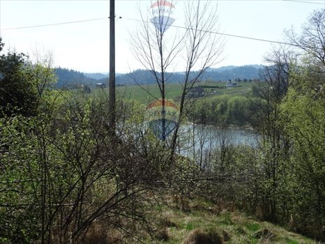 Działka budowlana na sprzedaż Kluszkowce 3 849m2 Foto 11