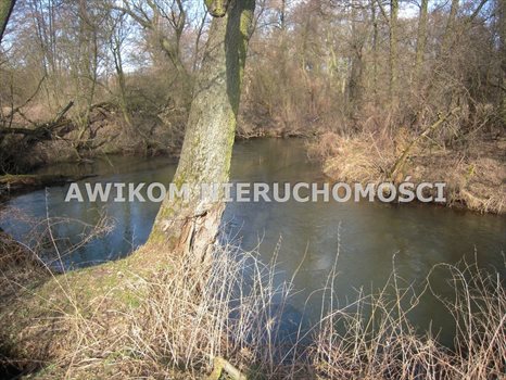 Działka budowlana na sprzedaż Skierniewice, Ruda 4 600m2 Foto 4