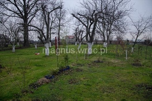 Działka budowlana na sprzedaż Mnichowice 2 701m2 Foto 1