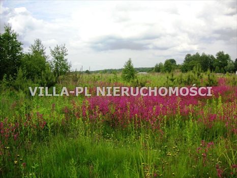 Działka budowlana na sprzedaż Łódź, Bałuty 5 000m2 Foto 1