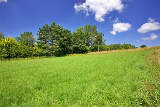 Działka budowlana na sprzedaż Roztropice 3 500m2 Foto 4