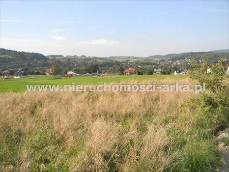 Działka budowlana na sprzedaż Dobra 1 300m2 Foto 5