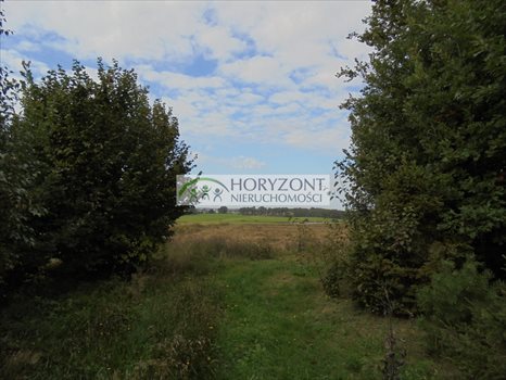 Działka budowlana na sprzedaż Małkowo 1 300m2 Foto 7